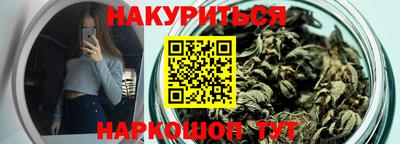 гидра Бердск