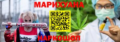 гидра Бердск