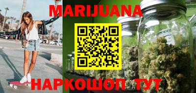 гидра Бердск