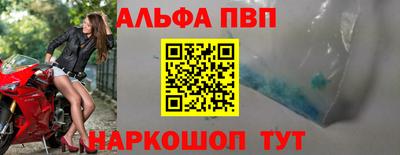 гидра Бердск