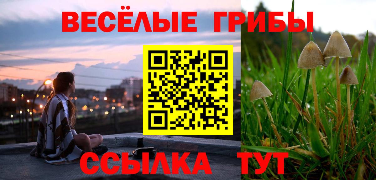 Галлюциногенные грибы MAGIC MUSHROOMS  Галлюциногенные грибы Psilocybe  Вход с VPN  Будённовск 